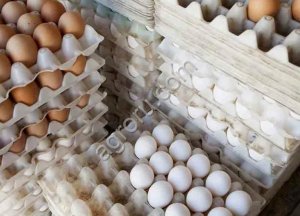 Яйцо куриное