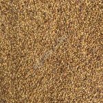 Семена Люцерны ЭЛИТА, ПР2, РС