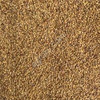 Семена Люцерны ЭЛИТА, ПР2, РС