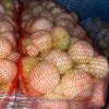 Лук очищенный в сетках