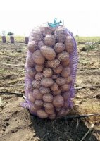 молодой картофель картошку