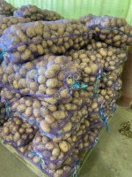 Картофель от производителя 5+