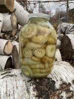 Груздь мохнатый