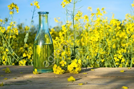 Услуги по переработке масличных культур