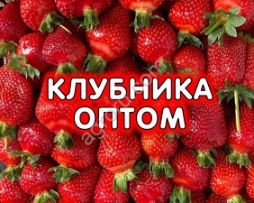 Клубника свежая Белореченская (Краснодарский край)