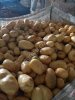 Картофель, некондиционный