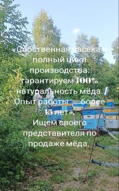 мед оптом