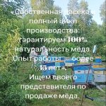 мед оптом