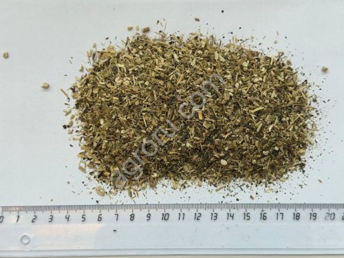Эхинацеи трава 4-7 мм