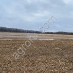 Расчистка территорий под масштабное строительство