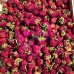 малина ежевика