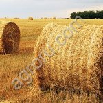 Шпагат сеновязальный в ассортименте