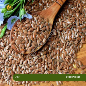 Семена льна Северный (Рс1)