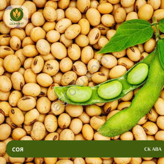 Семена сои СК Ава