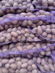 Семенной картофель отичного качества