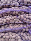 Семенной картофель отичного качества