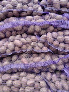 Семенной картофель отичного качества