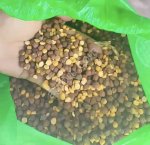 Нут красный