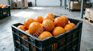 Апельсин фасовка