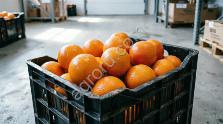 Апельсин фасовка