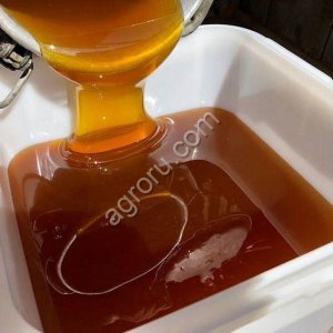 Мёд Алтайский оптом от производителя (пасеки)