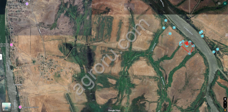 5 Га рядом село Зюзино,Мумра 9 участок