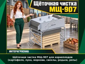 Щёточная чистка МЩ-907 для корнеплодов (картофеля, лука, моркови, свеклы, редьки, репы)