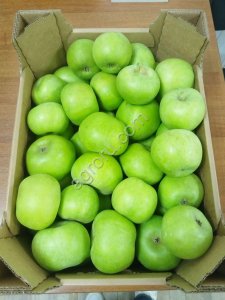 Яблоки семеренко