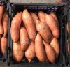Батат свежий (Sweet Potato)