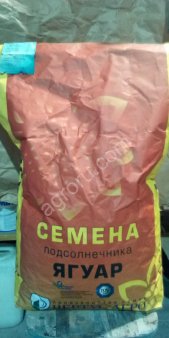 гибрид подсолнечника Ягуар