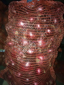 Лук репчатый  красный