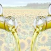 шрот, жмых, масло, бобы соевые