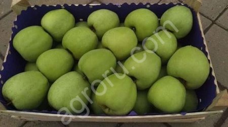 Урожай 2018 г.