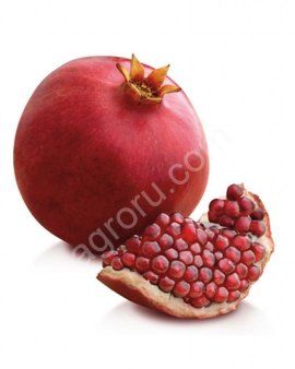 Гранат