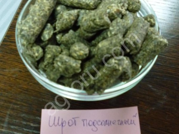 масленичные культуры шрот подсолнечный