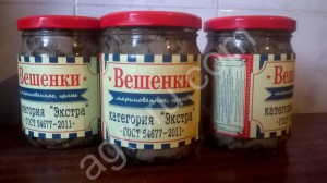 Маринованные грибы Вешенка