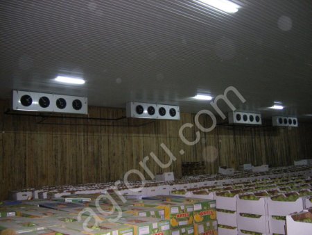 Строительство фруктохранилищ овощехранилищ РГС