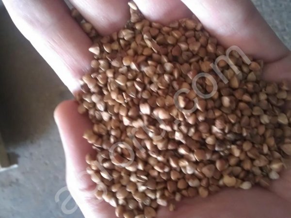 Крупа гречневая (ядрица) ГОСТ ,  производитель