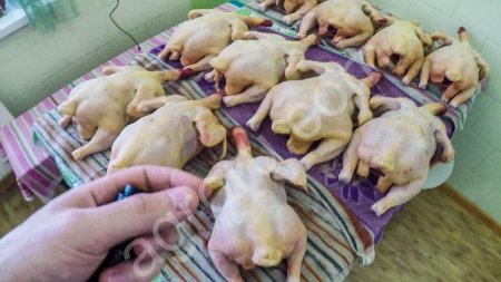 мясо бройлера