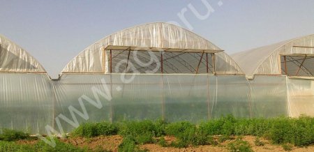 Строительство теплиц хозспособом