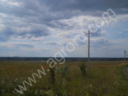 Земля с/х назначения