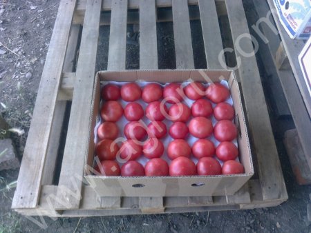 помидор розовый ( пинк парадайз )