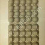 Упаковка для перепелиных яиц