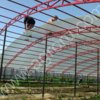 теплицы промышленные