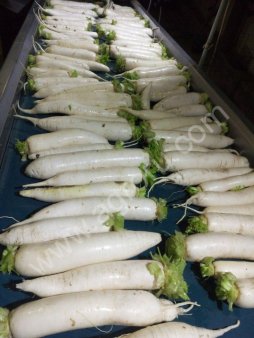 Услуги мойки овощей