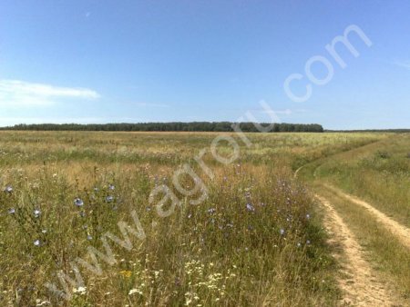 земля сельскохозяйственного назначения