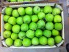Яблоки от производителя ОАО Прохладное