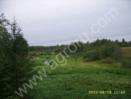 Земельный участок, 1000 га