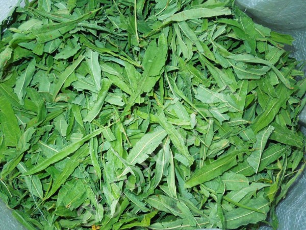 Иван-чай лист (Кипрей)