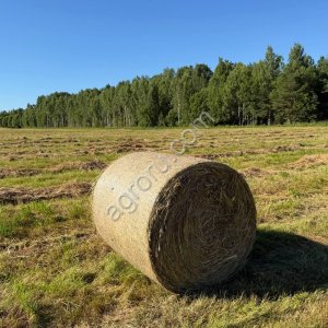 Сено луговое разнотравье